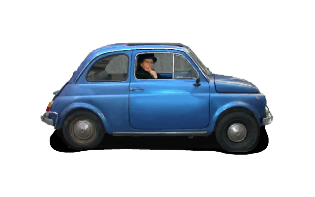 voiture vigdis bleu